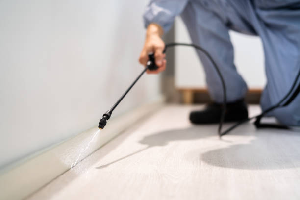 Rodent Entry Point Assessment in Clovis