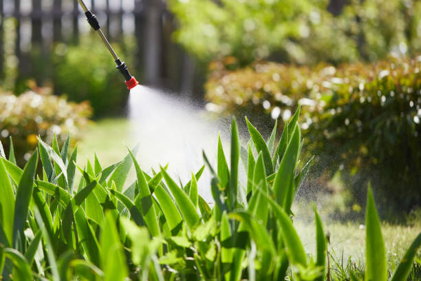 Tamper-Resistant Bait Stations for Rodents in Clovis