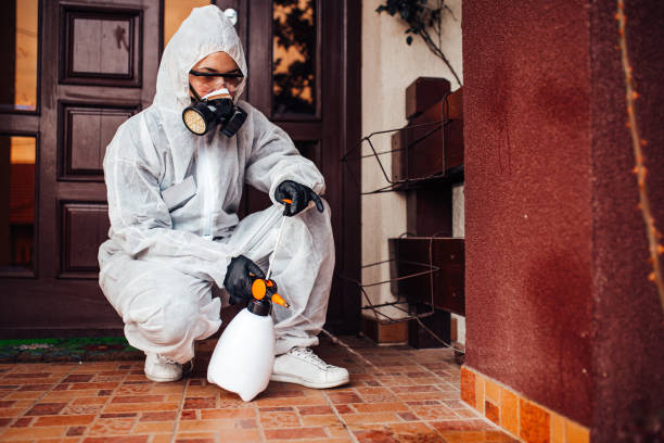Attic and Crawl Space Rodent Treatment in Clovis